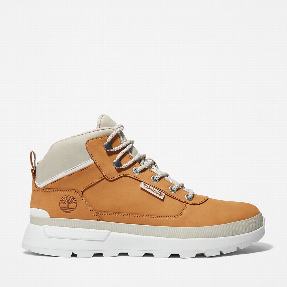 Timberland Field Trekker Yürüyüş Botu Erkek Açık Kahverengi | TR-5962Q