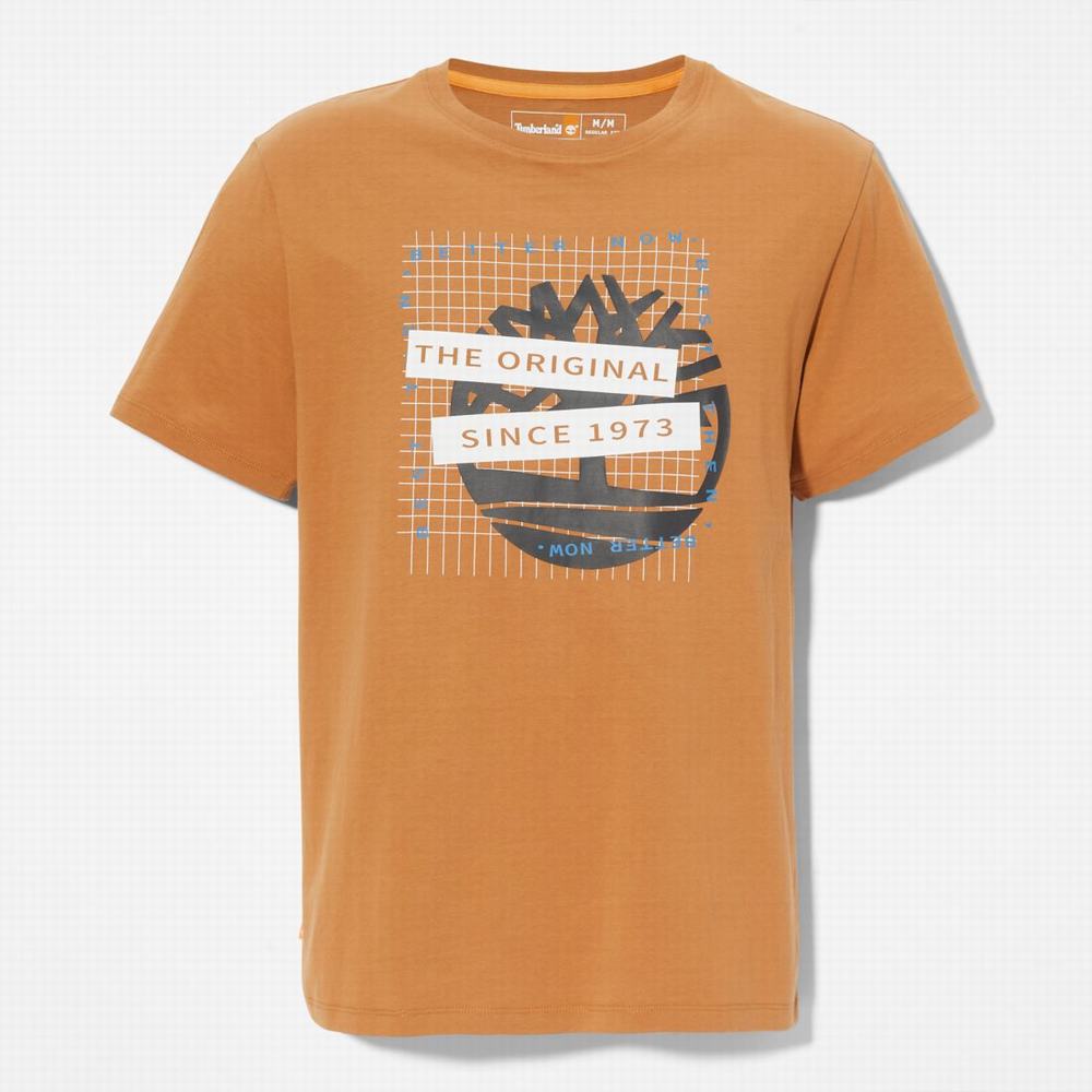 Timberland Front-Graphic Tişört Erkek Kahverengi | TR-6024M