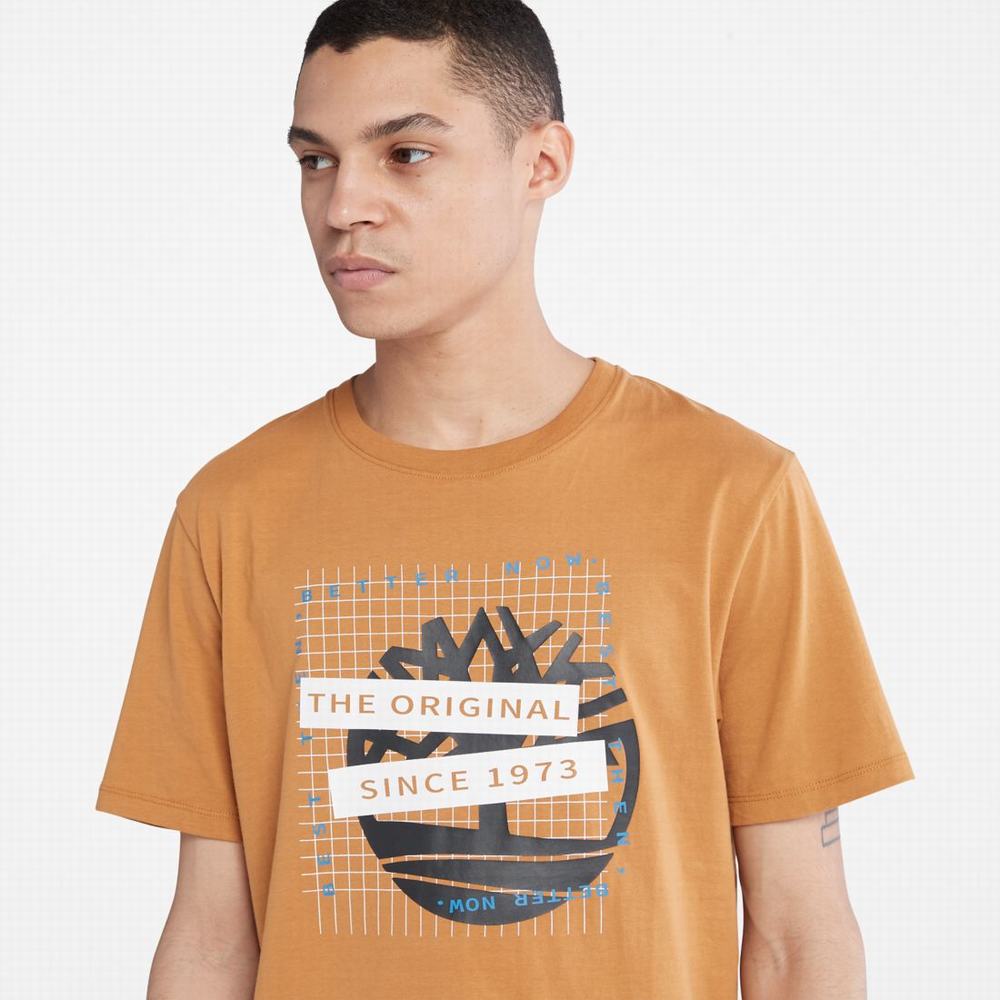 Timberland Front-Graphic Tişört Erkek Kahverengi | TR-6024M