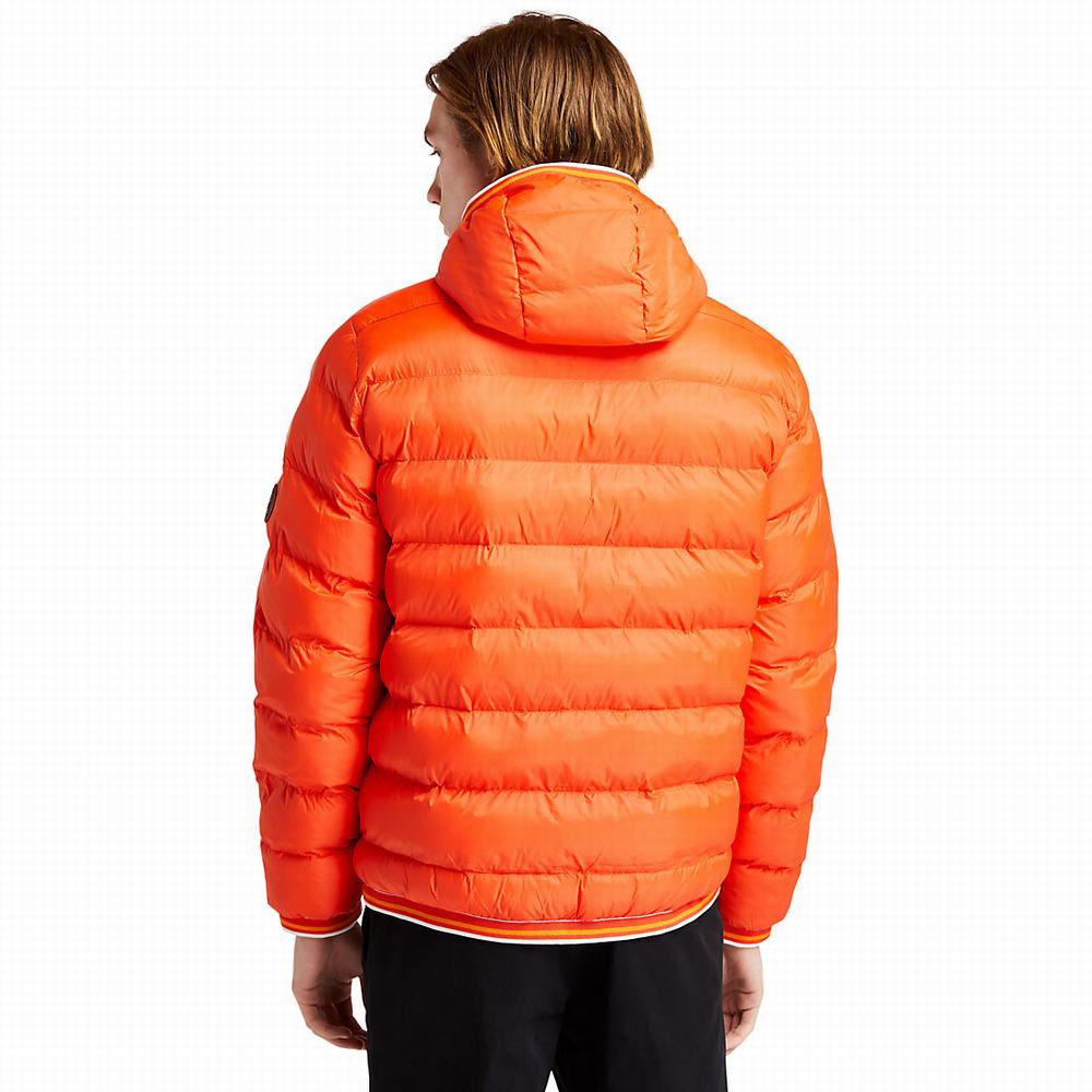 Timberland Garfield Kukuletalı Puffer Ceket Erkek Turuncu | TR-2346L