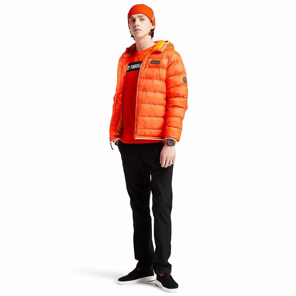 Timberland Garfield Kukuletalı Puffer Ceket Erkek Turuncu | TR-2346L