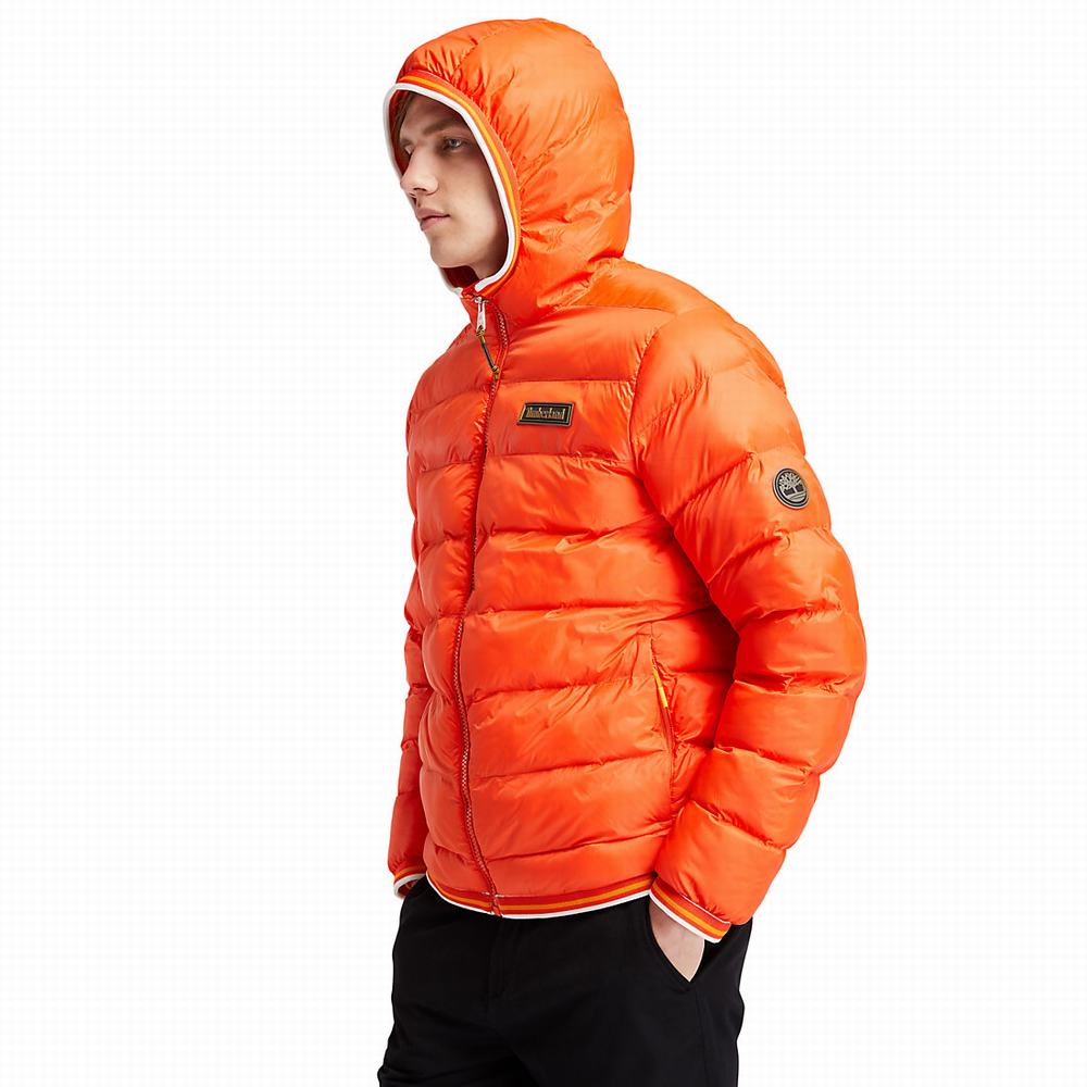 Timberland Garfield Kukuletalı Puffer Ceket Erkek Turuncu | TR-2346L