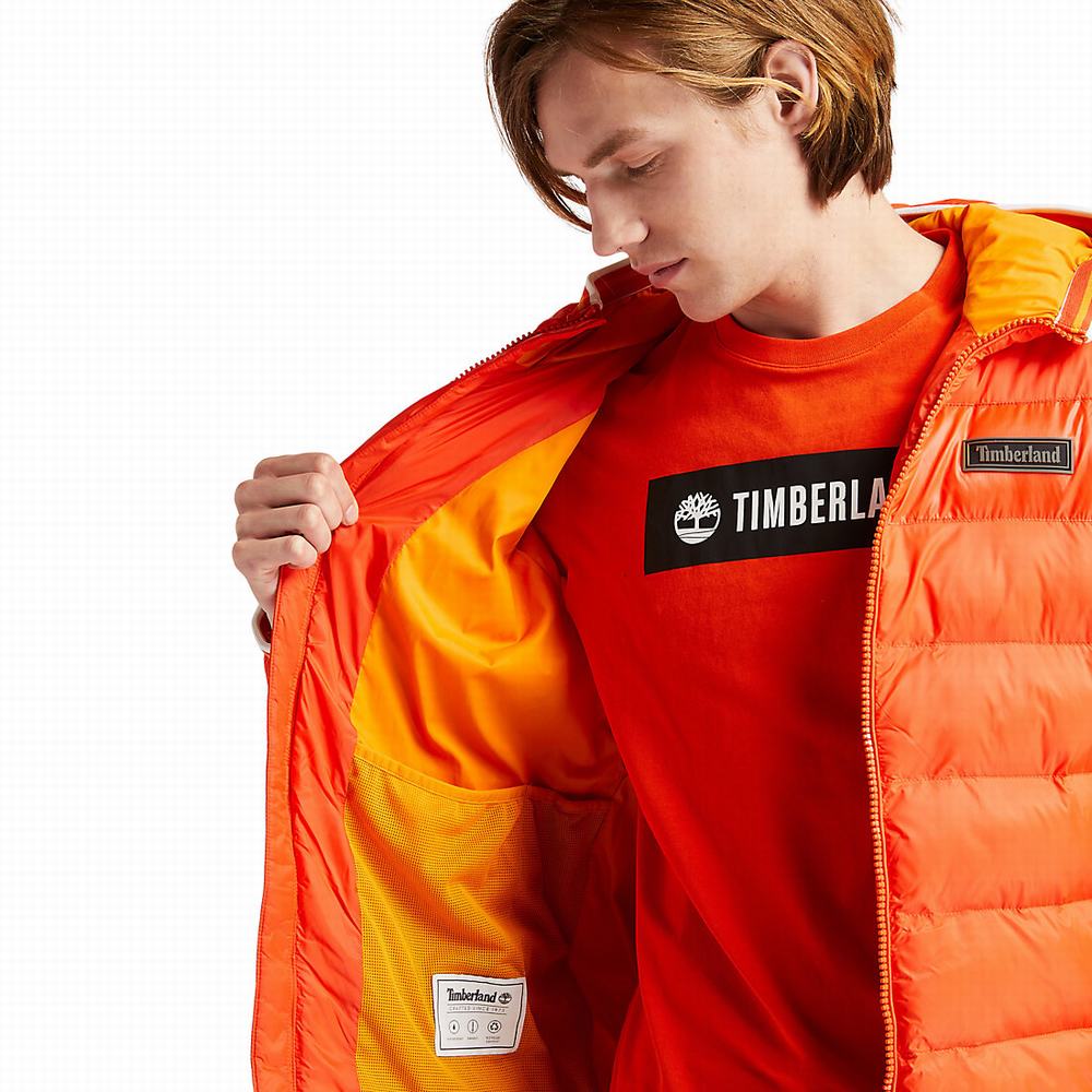 Timberland Garfield Kukuletalı Puffer Ceket Erkek Turuncu | TR-2346L