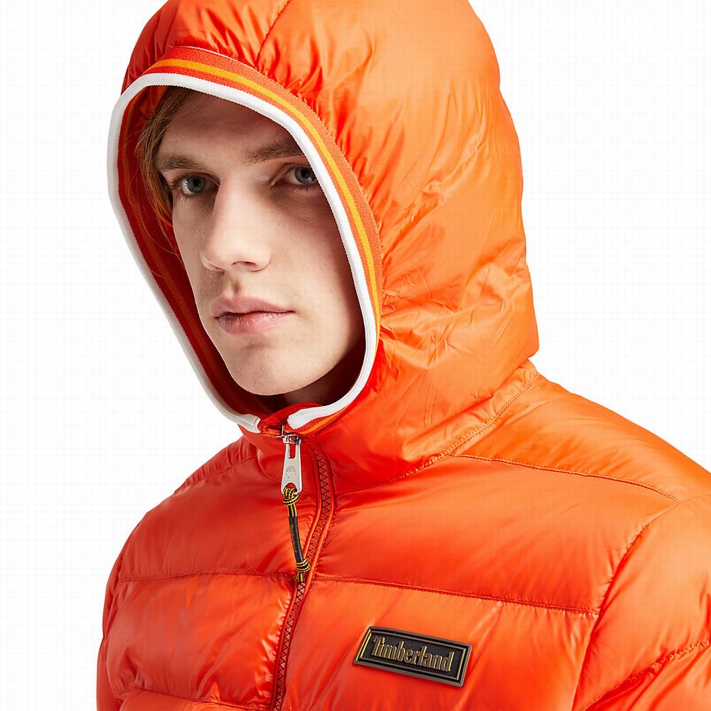 Timberland Garfield Kukuletalı Puffer Ceket Erkek Turuncu | TR-2346L