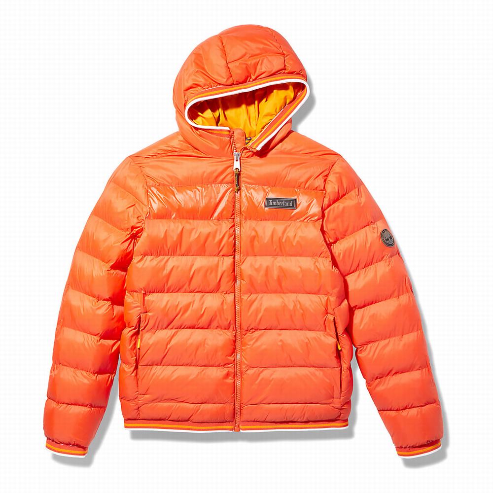 Timberland Garfield Kukuletalı Puffer Ceket Erkek Turuncu | TR-2346L