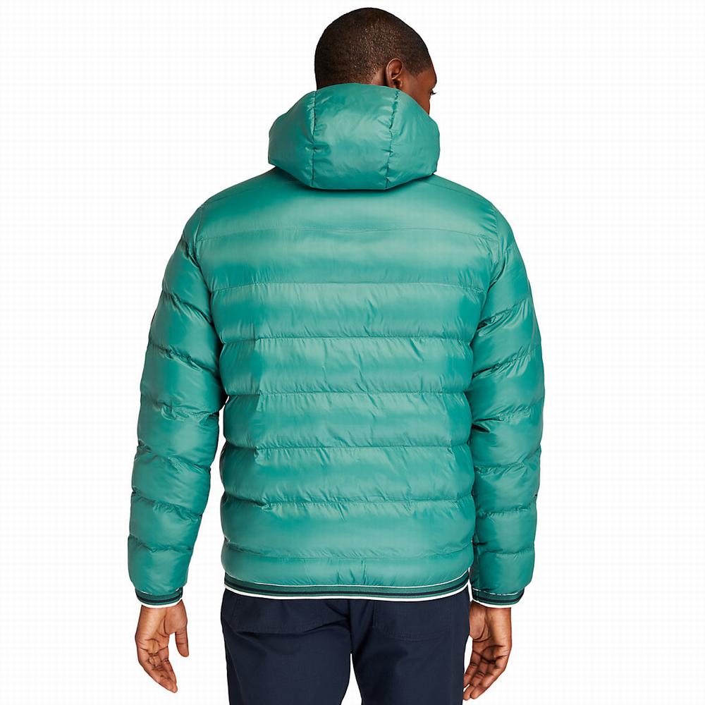 Timberland Garfield Kukuletalı Puffer Ceket Erkek Yeşil | TR-9480Z