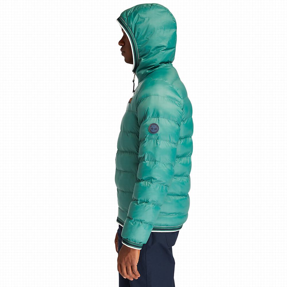 Timberland Garfield Kukuletalı Puffer Ceket Erkek Yeşil | TR-9480Z