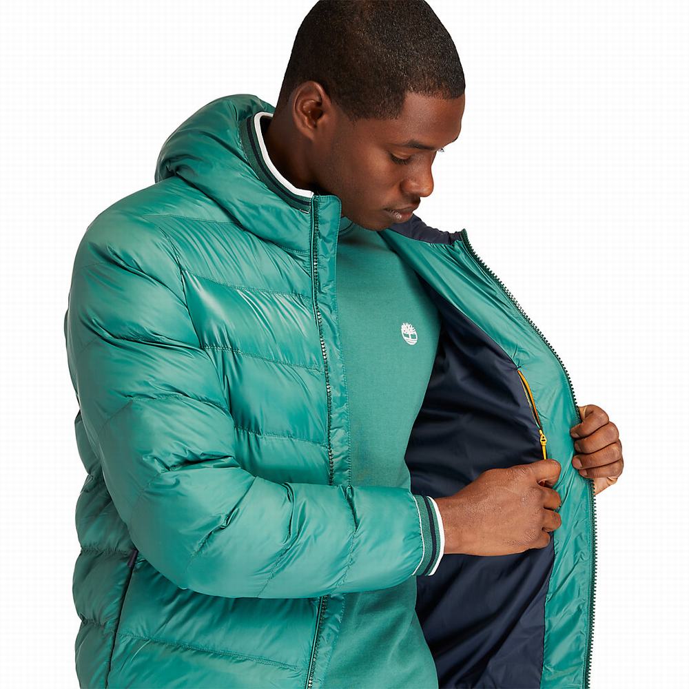 Timberland Garfield Kukuletalı Puffer Ceket Erkek Yeşil | TR-9480Z