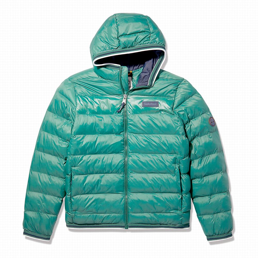 Timberland Garfield Kukuletalı Puffer Ceket Erkek Yeşil | TR-9480Z