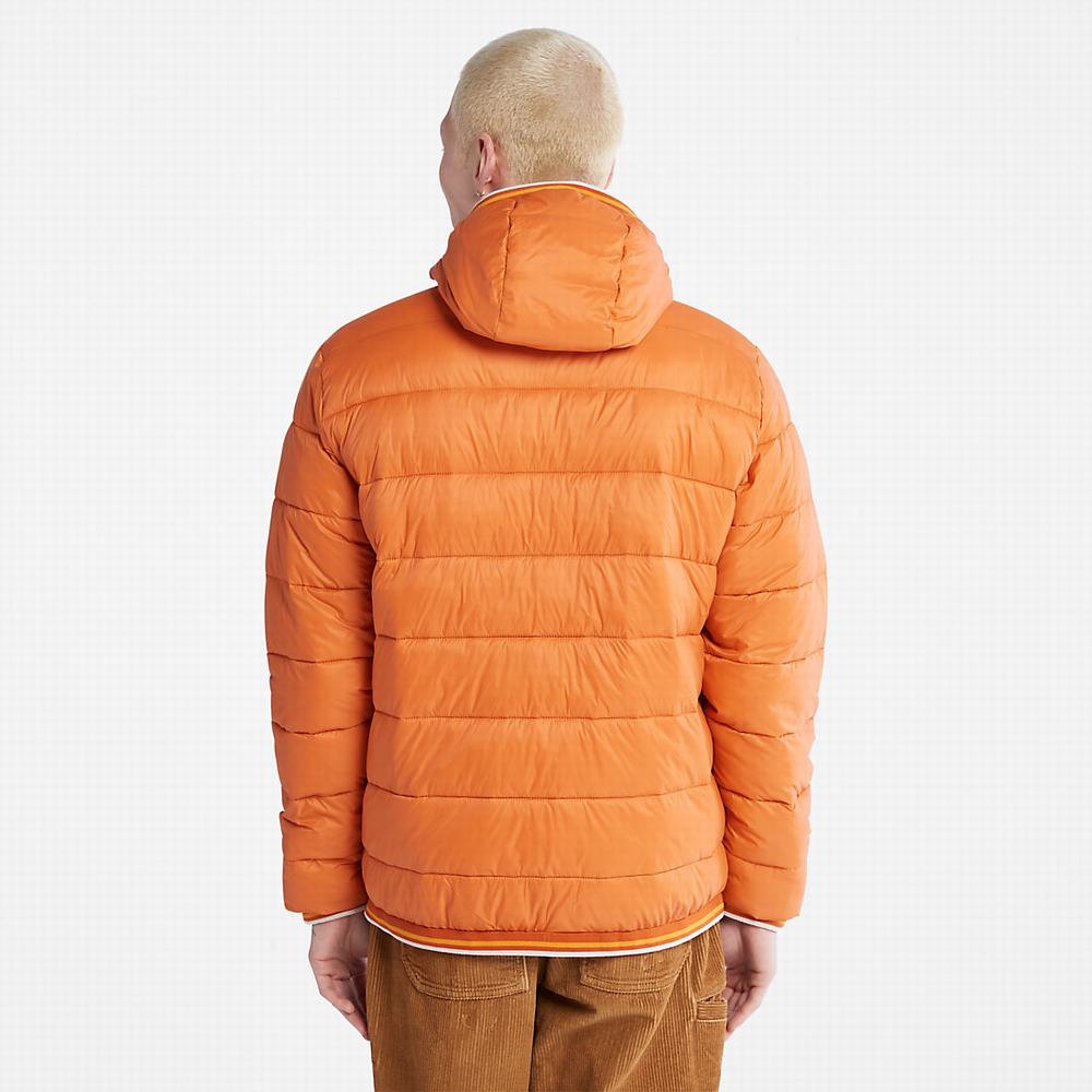 Timberland Garfield Midweight Kukuletalı Puffer Ceket Erkek Turuncu | TR-1397X