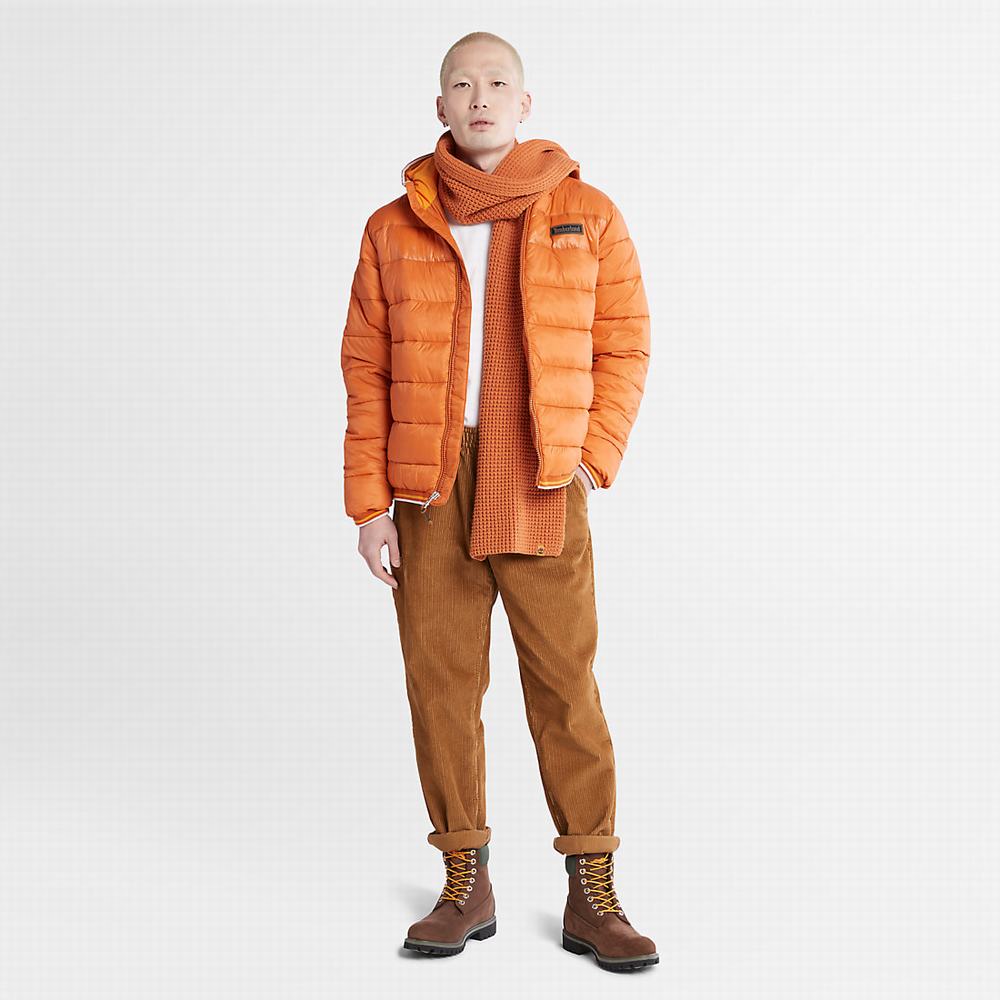 Timberland Garfield Midweight Kukuletalı Puffer Ceket Erkek Turuncu | TR-1397X