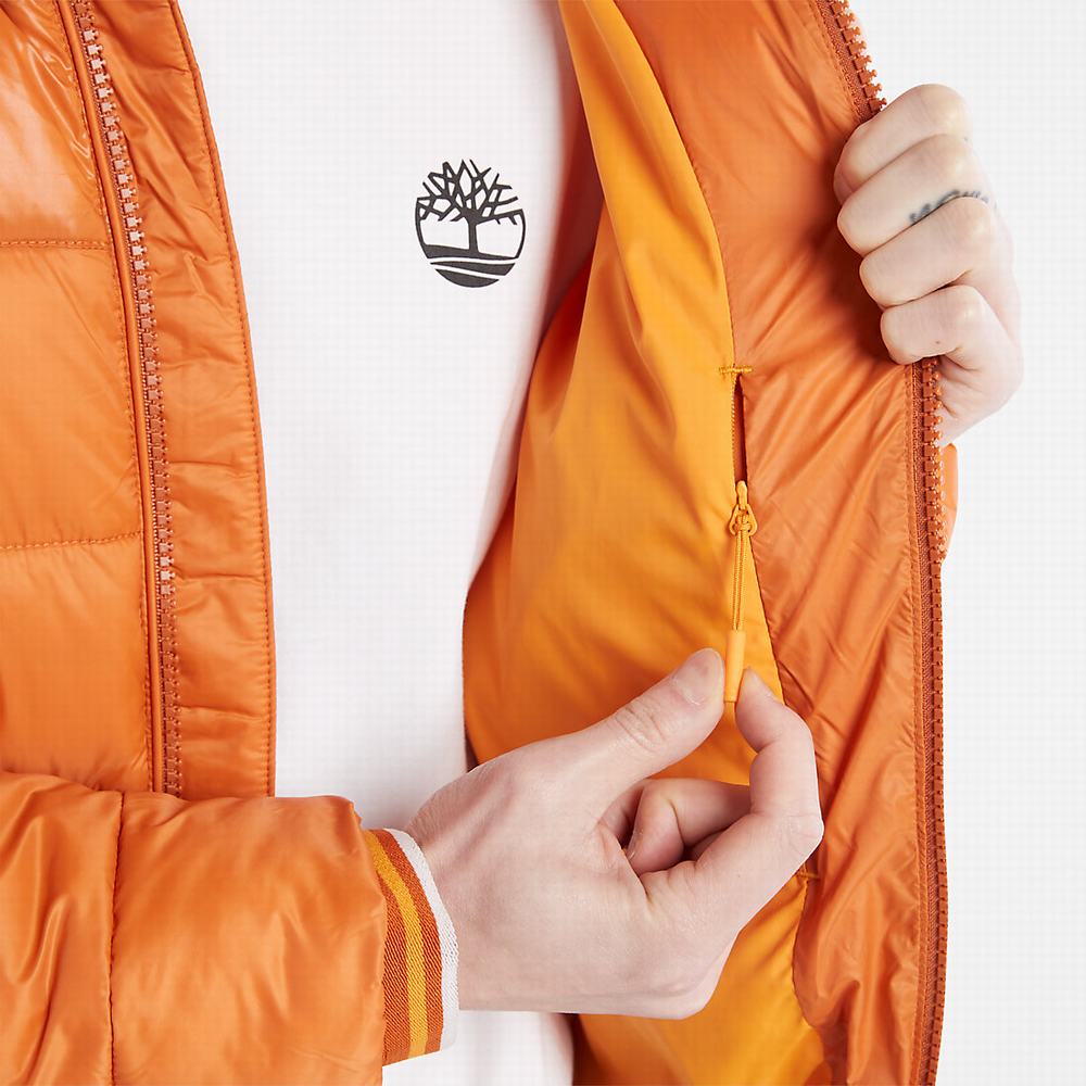 Timberland Garfield Midweight Kukuletalı Puffer Ceket Erkek Turuncu | TR-1397X