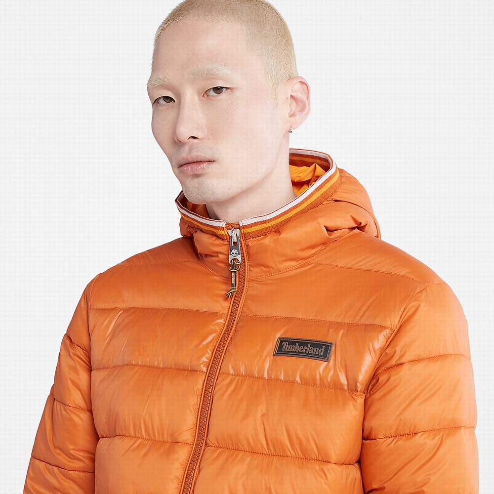 Timberland Garfield Midweight Kukuletalı Puffer Ceket Erkek Turuncu | TR-1397X