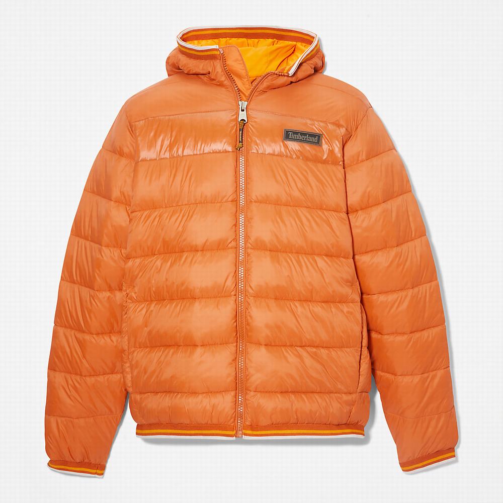 Timberland Garfield Midweight Kukuletalı Puffer Ceket Erkek Turuncu | TR-1397X