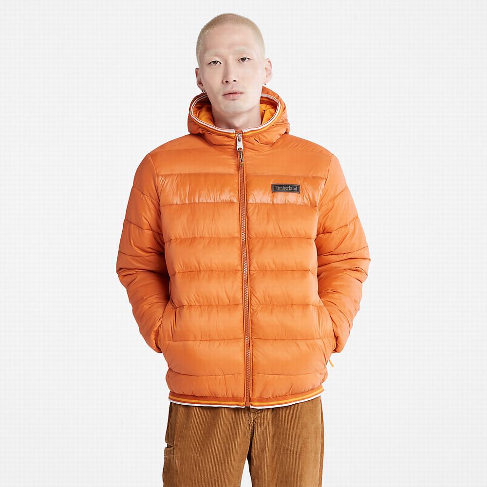 Timberland Garfield Midweight Kukuletalı Puffer Ceket Erkek Turuncu | TR-1397X