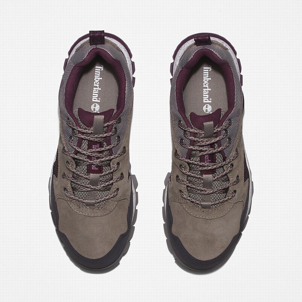 Timberland Garrison Yürüyüş Spor Ayakkabı Kadın Gri | TR-8439E