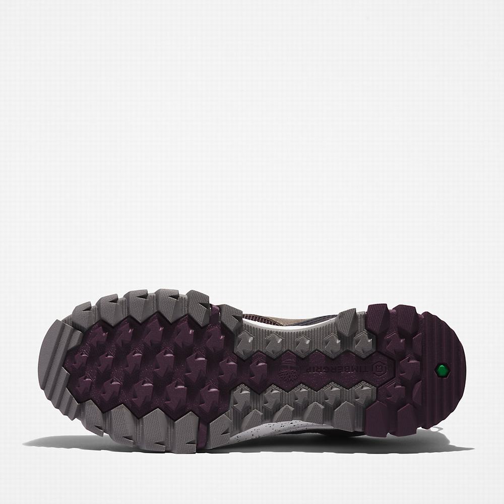 Timberland Garrison Yürüyüş Spor Ayakkabı Kadın Gri | TR-8439E