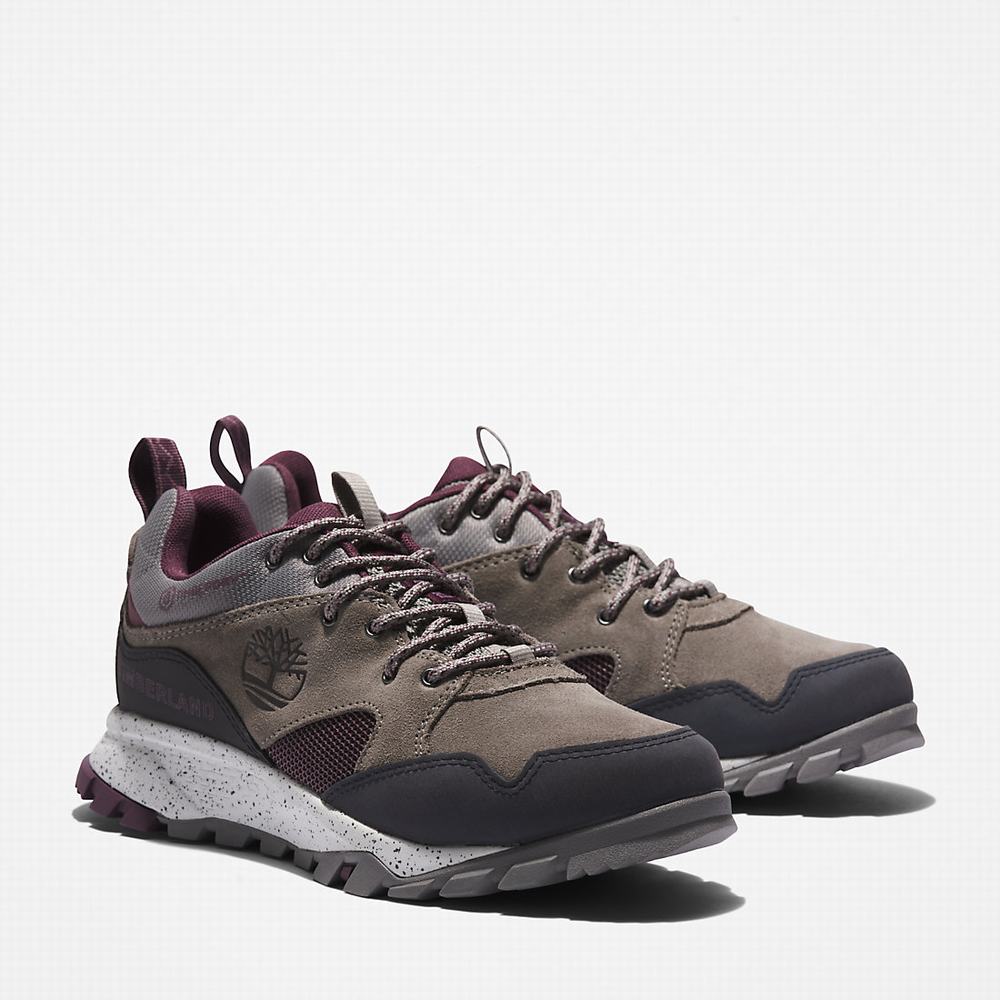 Timberland Garrison Yürüyüş Spor Ayakkabı Kadın Gri | TR-8439E