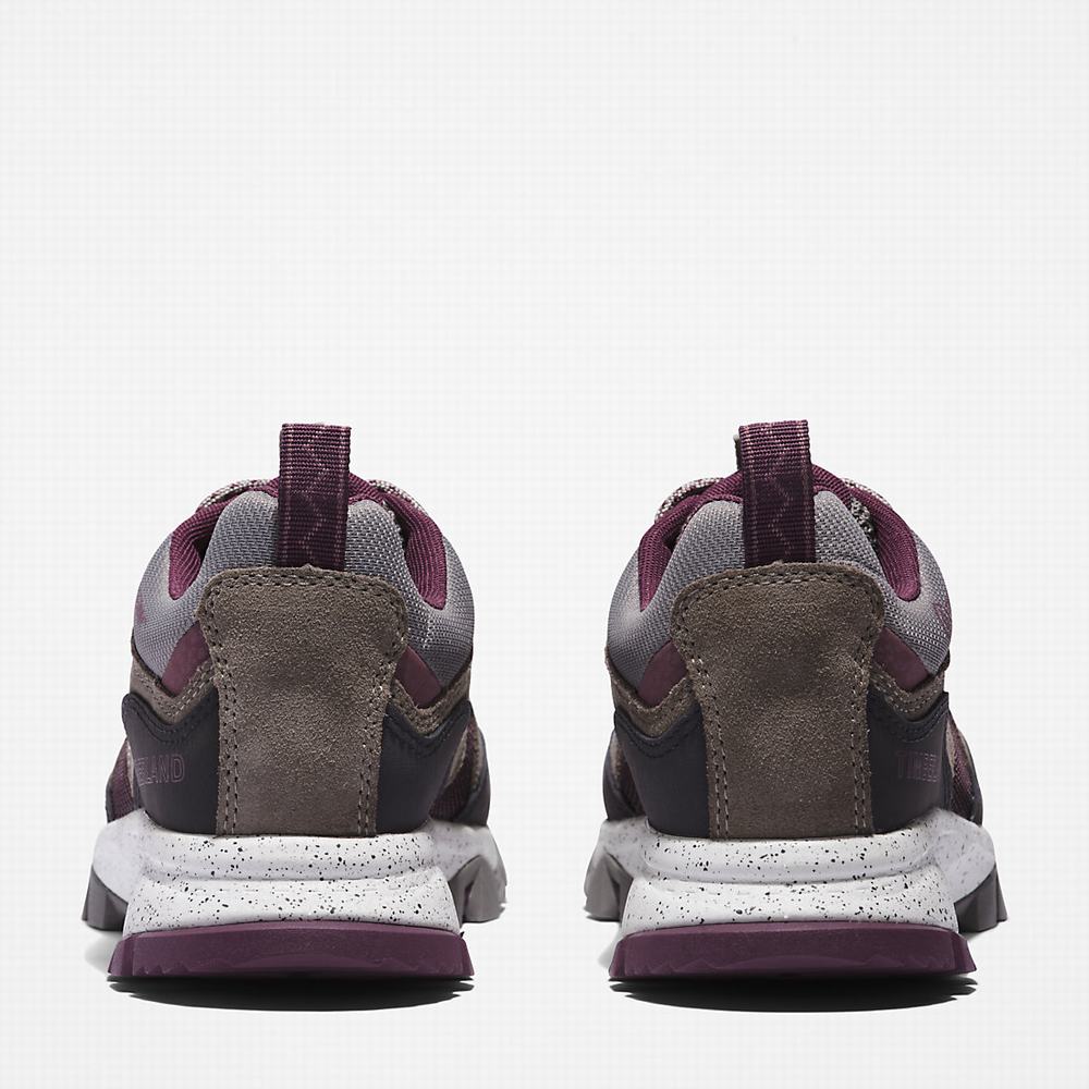 Timberland Garrison Yürüyüş Spor Ayakkabı Kadın Gri | TR-8439E
