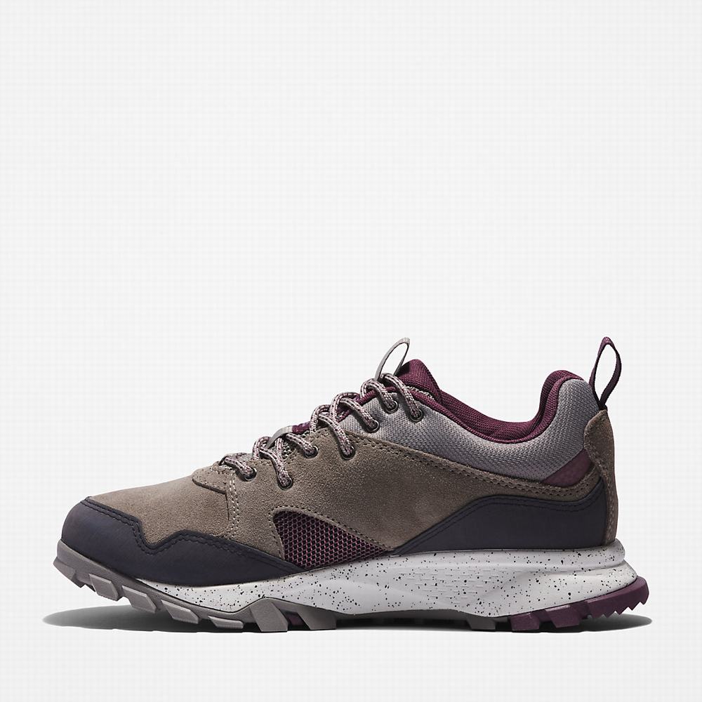 Timberland Garrison Yürüyüş Spor Ayakkabı Kadın Gri | TR-8439E