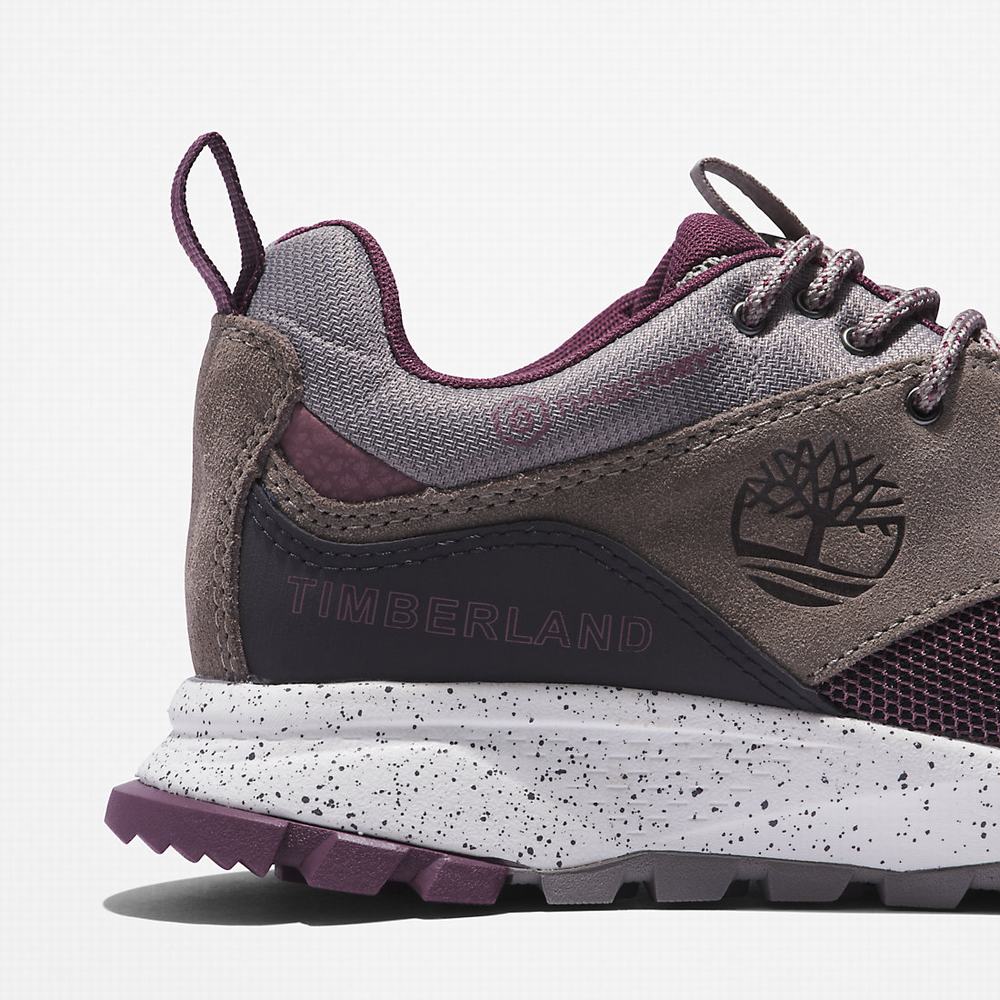 Timberland Garrison Yürüyüş Spor Ayakkabı Kadın Gri | TR-8439E