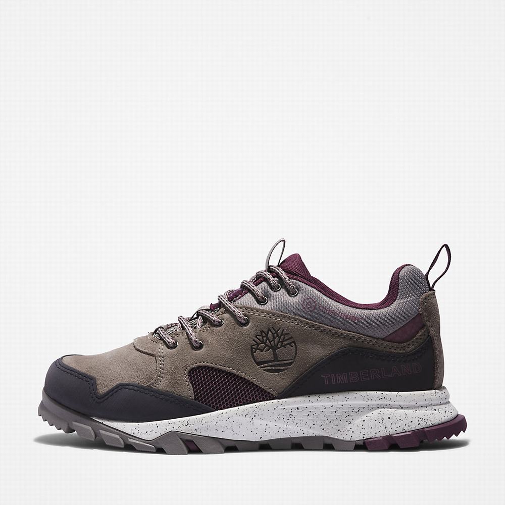 Timberland Garrison Yürüyüş Spor Ayakkabı Kadın Gri | TR-8439E