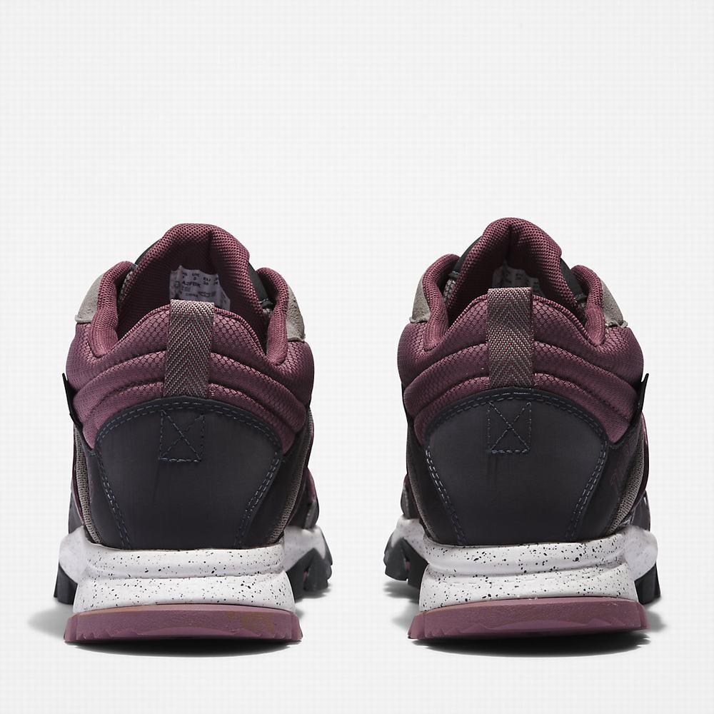 Timberland Garrison Yürüyüş Yürüyüş Botu Kadın Koyu Gri | TR-3059C