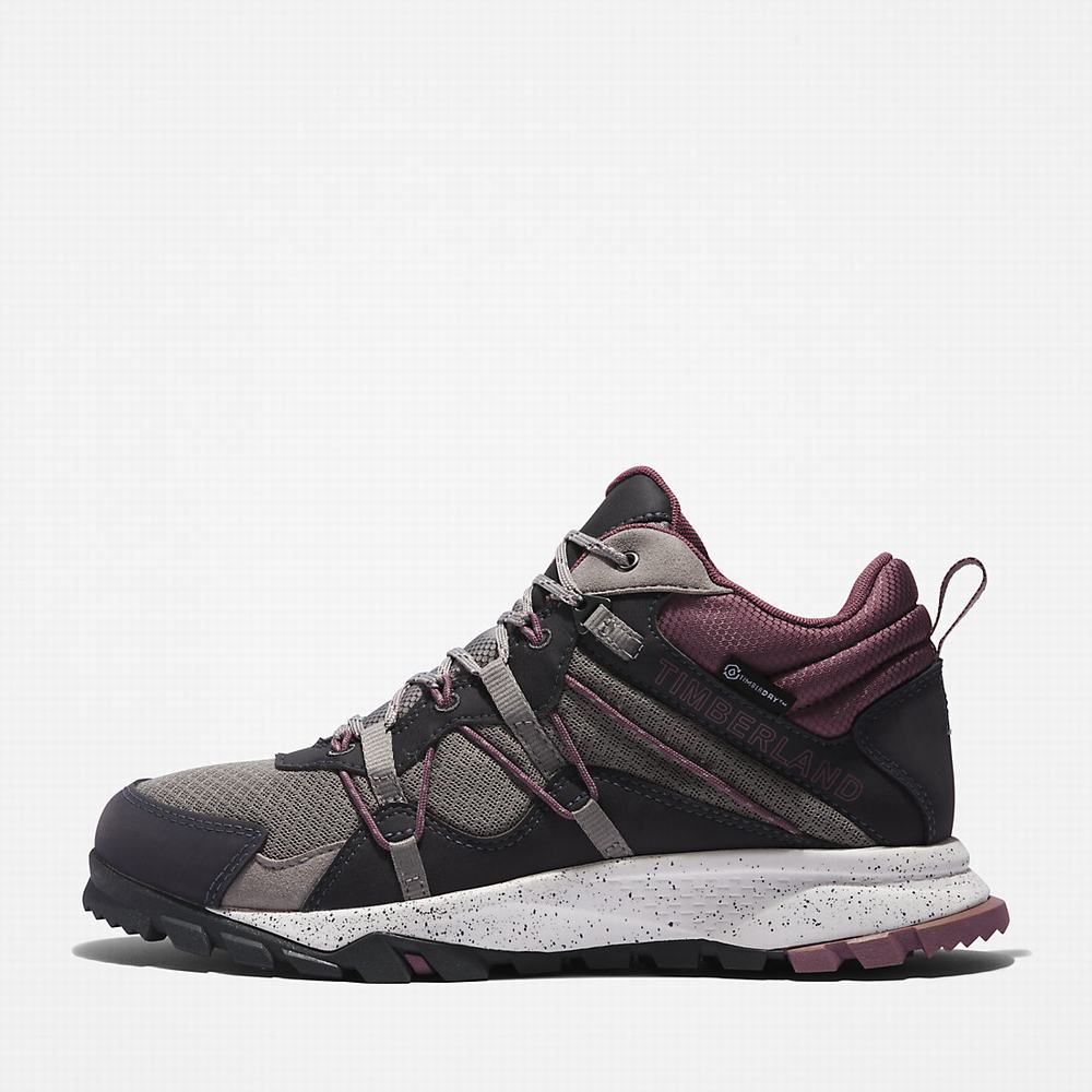 Timberland Garrison Yürüyüş Yürüyüş Botu Kadın Koyu Gri | TR-3059C