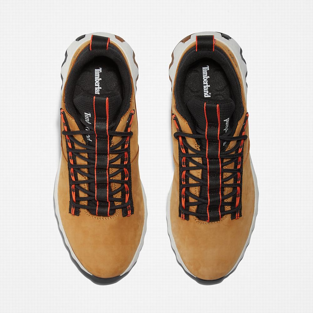 Timberland GreenStride™ Edge Spor Ayakkabı Erkek Sarı | TR-8735L