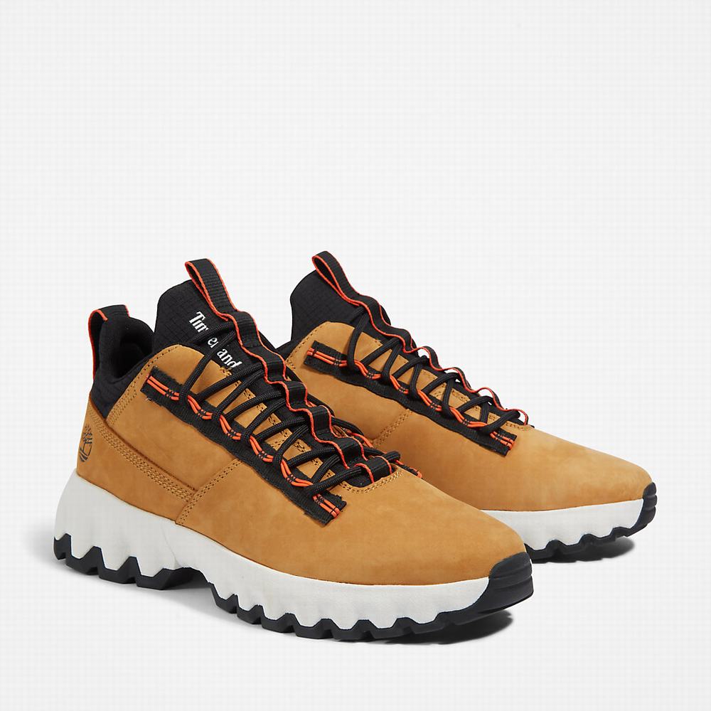 Timberland GreenStride™ Edge Spor Ayakkabı Erkek Sarı | TR-8735L