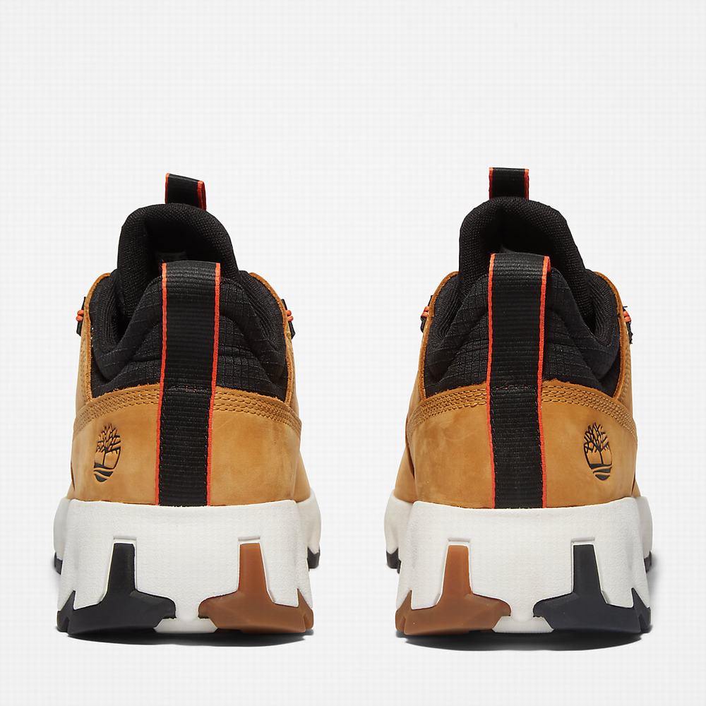 Timberland GreenStride™ Edge Spor Ayakkabı Erkek Sarı | TR-8735L