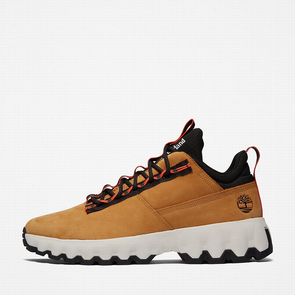Timberland GreenStride™ Edge Spor Ayakkabı Erkek Sarı | TR-8735L