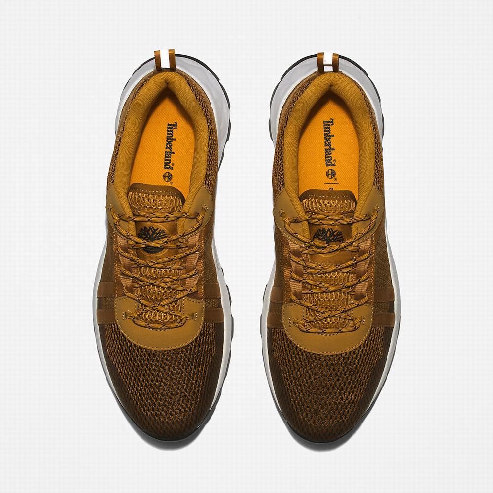 Timberland GreenStride™ Solar Wave LT Spor Ayakkabı Erkek Kahverengi | TR-0439F