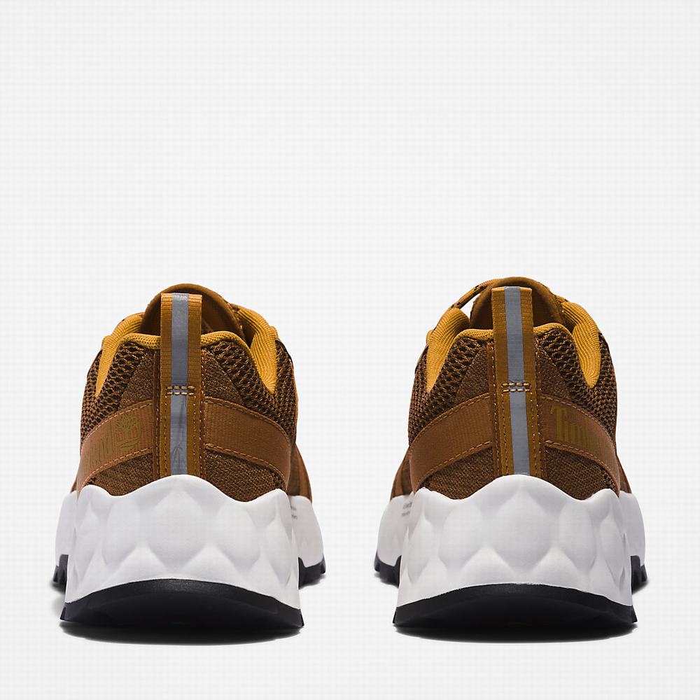 Timberland GreenStride™ Solar Wave LT Spor Ayakkabı Erkek Kahverengi | TR-0439F