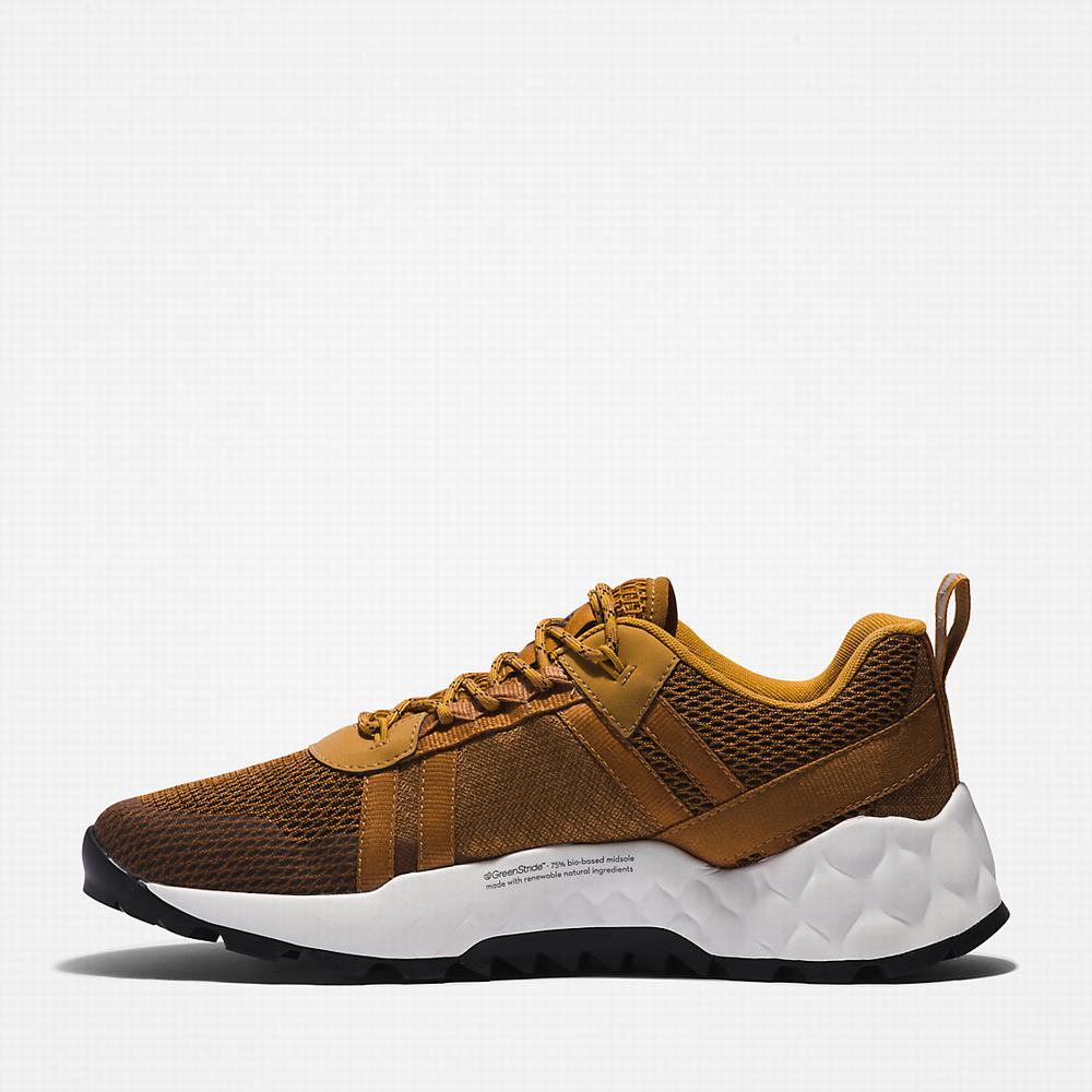 Timberland GreenStride™ Solar Wave LT Spor Ayakkabı Erkek Kahverengi | TR-0439F