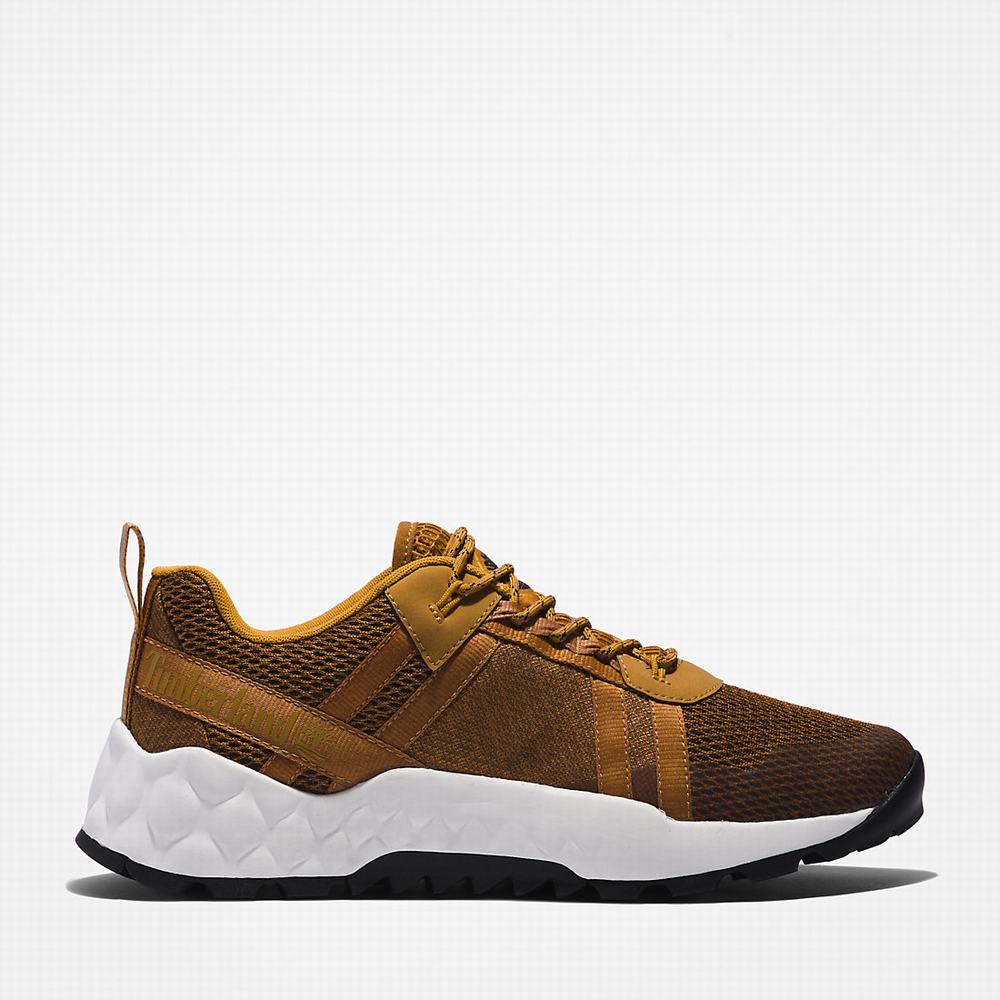 Timberland GreenStride™ Solar Wave LT Spor Ayakkabı Erkek Kahverengi | TR-0439F