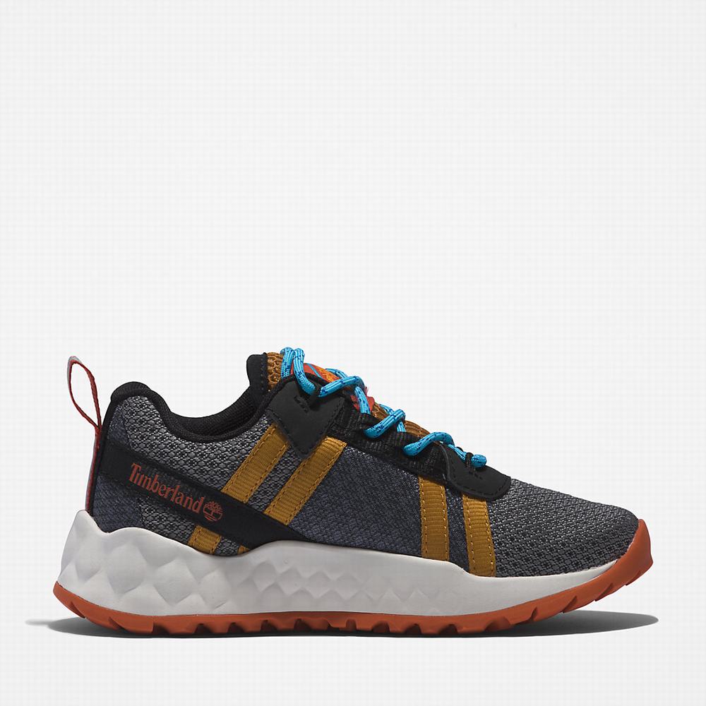 Timberland GreenStride™ Solar Wave Spor Ayakkabı Çocuk Gri | TR-4275Q