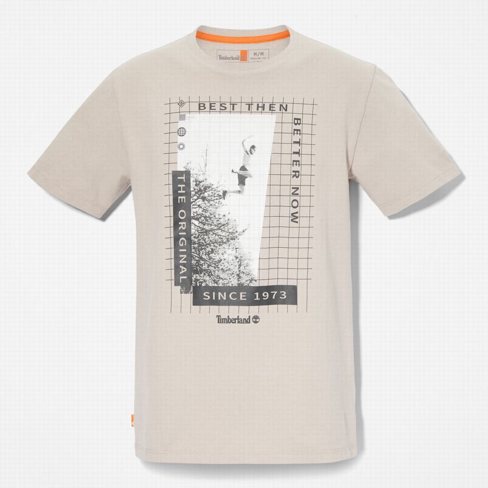Timberland Heavyweight Front-Graphic Tişört Kadın Taupe | TR-8362X