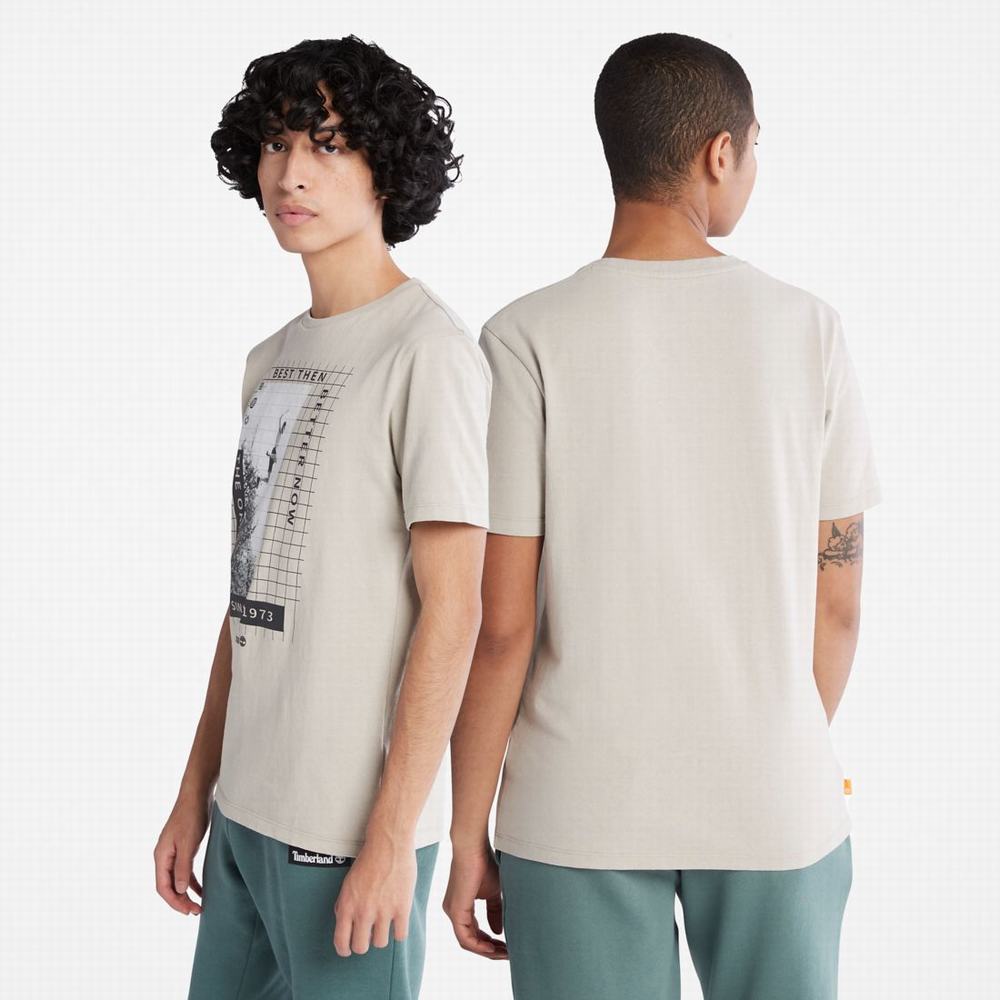 Timberland Heavyweight Front-Graphic Tişört Kadın Taupe | TR-8362X