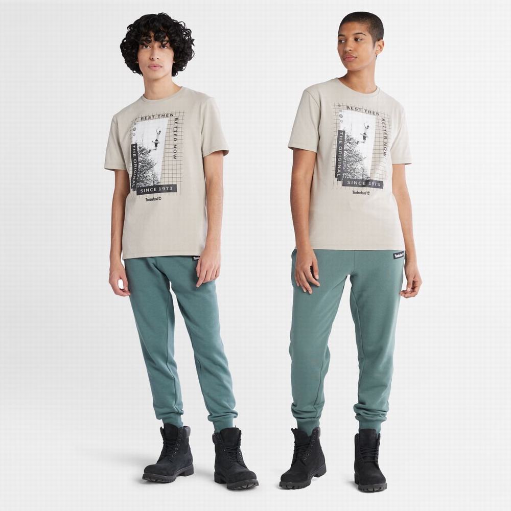 Timberland Heavyweight Front-Graphic Tişört Kadın Taupe | TR-8362X