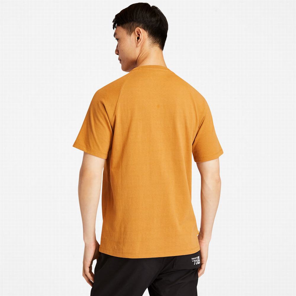 Timberland Heavyweight Logo Tişört Erkek Sarı | TR-2609J