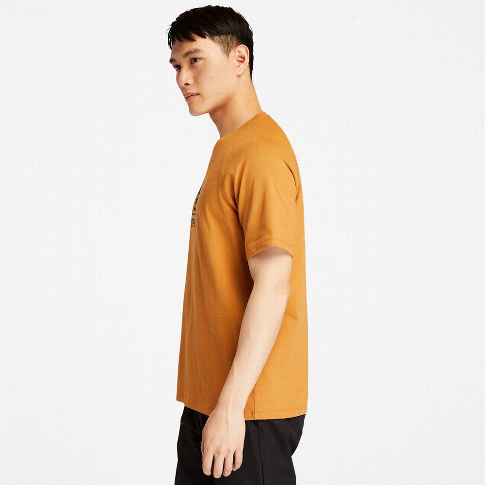 Timberland Heavyweight Logo Tişört Kadın Sarı | TR-5982F