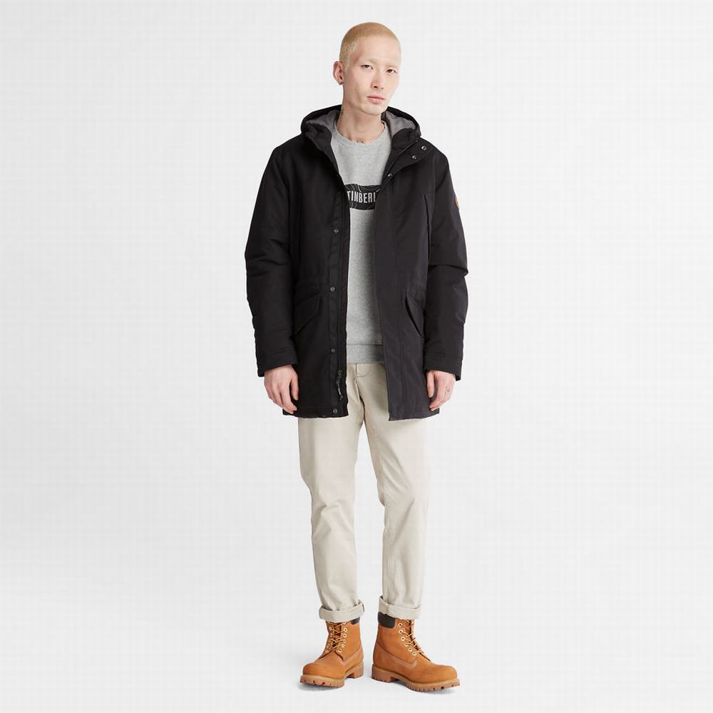 Timberland Insulated City Parka Ceketler Erkek Siyah | TR-0195Q