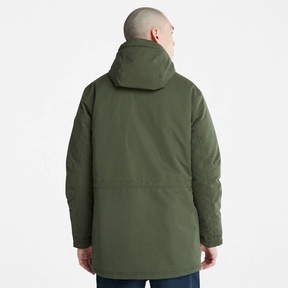 Timberland Insulated City Parka Ceketler Erkek Koyu Yeşil | TR-1956M