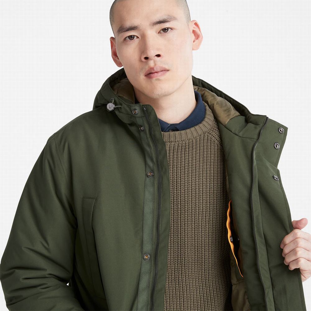 Timberland Insulated City Parka Ceketler Erkek Koyu Yeşil | TR-1956M