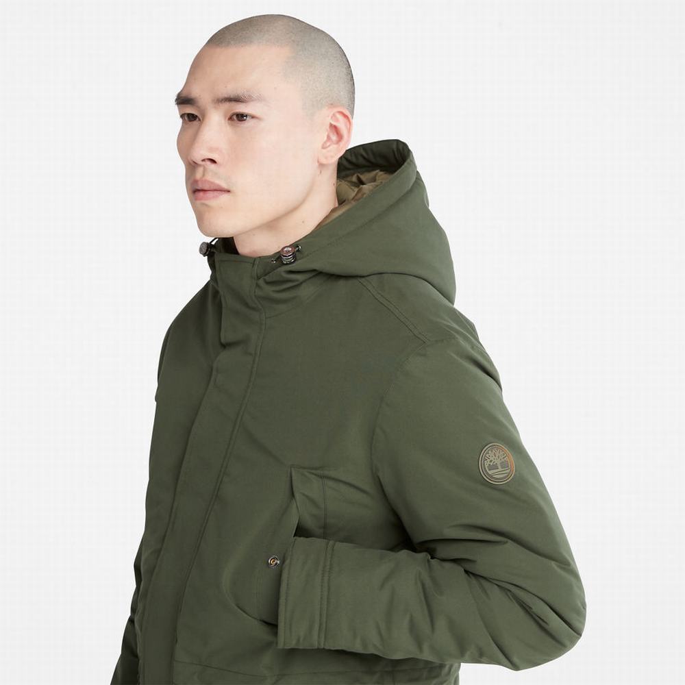 Timberland Insulated City Parka Ceketler Erkek Koyu Yeşil | TR-1956M