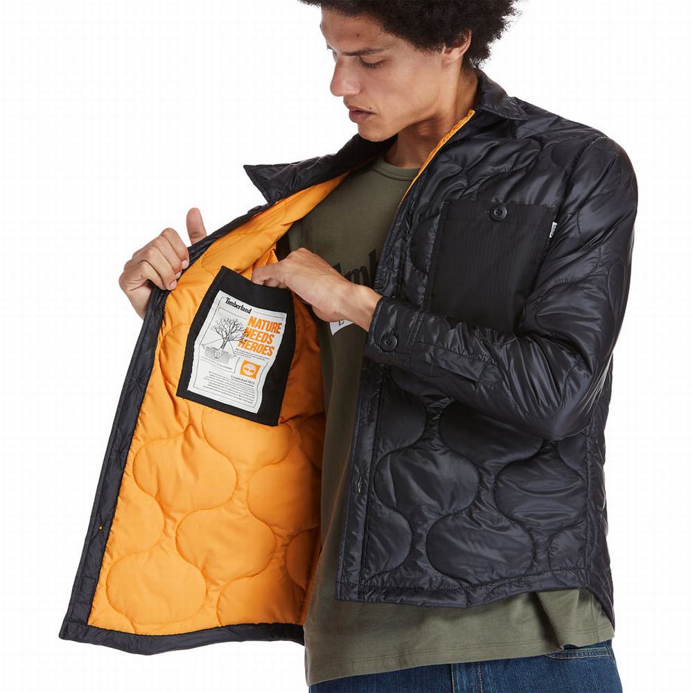 Timberland Insulated Overshirt Ceket Erkek Siyah | TR-3841R