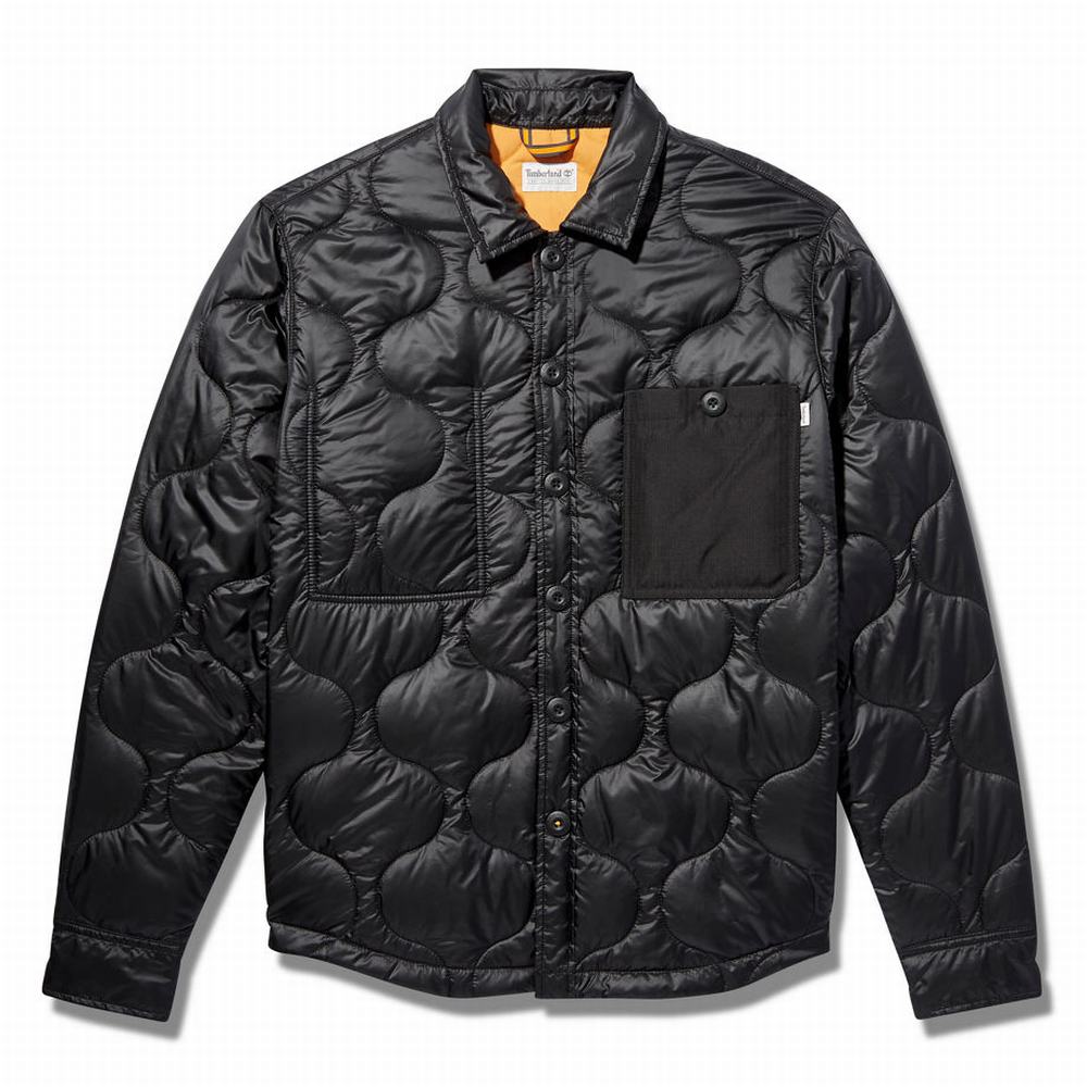 Timberland Insulated Overshirt Ceket Erkek Siyah | TR-3841R