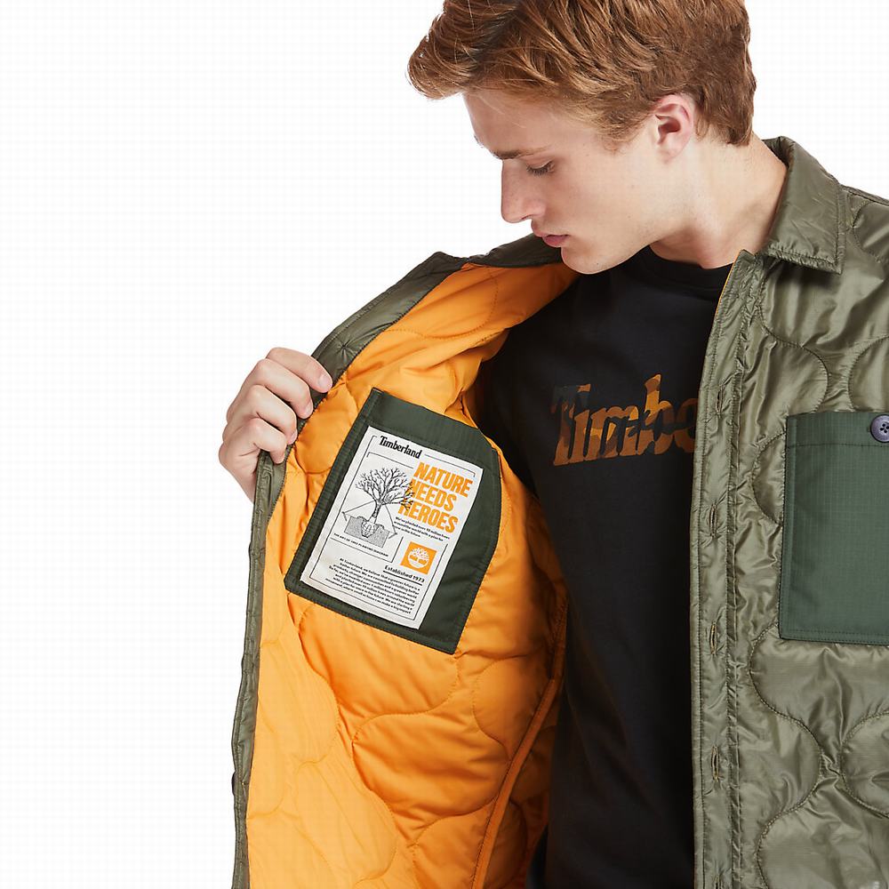 Timberland Insulated Overshirt Ceket Erkek Yeşil | TR-5936T