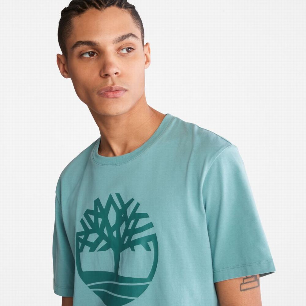 Timberland Kennebec River Tree-Logo Tee Tişört Erkek Mavi | TR-9187R
